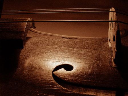 Цигулка  © Nick Chaldakov