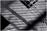 art photography &copy; Nick Chaldakov