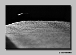 art photography &copy; Nick Chaldakov