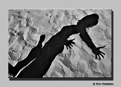 art photography &copy; Nick Chaldakov