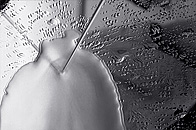 art photography &copy; Nick Chaldakov