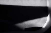 art photography &copy; Nick Chaldakov