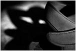 art photography &copy; Nick Chaldakov