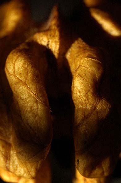 Nut art photography  &copy; Nick Chaldakov