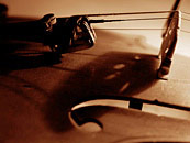 art photography &copy; Nick Chaldakov