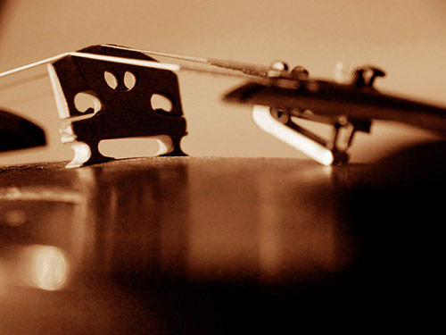 violin art photography  &copy; Nick Chaldakov