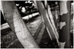 art photography ananatomy of time &copy;  Nick Chaldakov