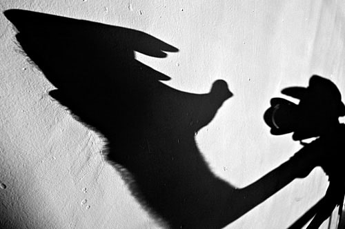 b w art photography  &copy; Nick Chaldakov