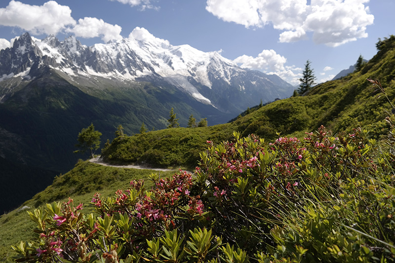 Списание Фото Арт Ревю фотография © Ник Чалдъков Обиколката на Монблан 2014 TMB Tour du Mont Blanc 