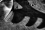 art photography 