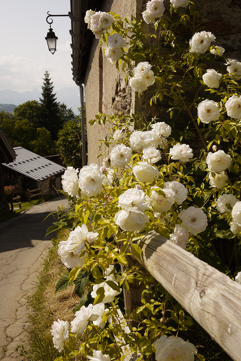 Photography © Valentina Kristeva