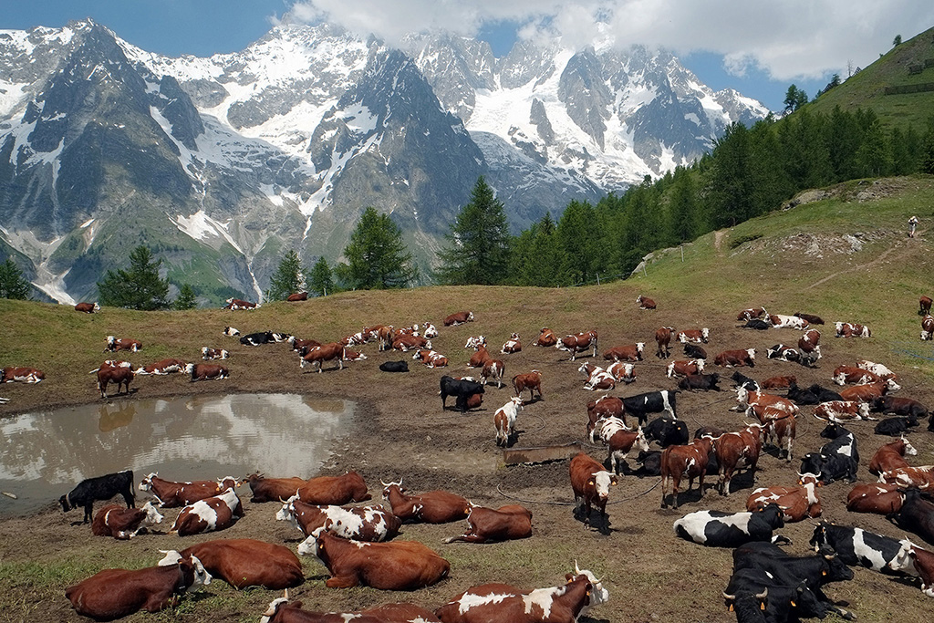 Nick Chaldakov photography exhibition TOUR DE ALPS 2016 