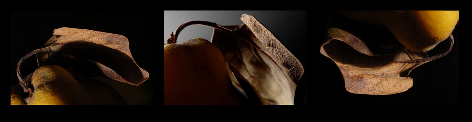 Quince art photography &copy; Nick Chaldakov