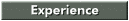 Experience